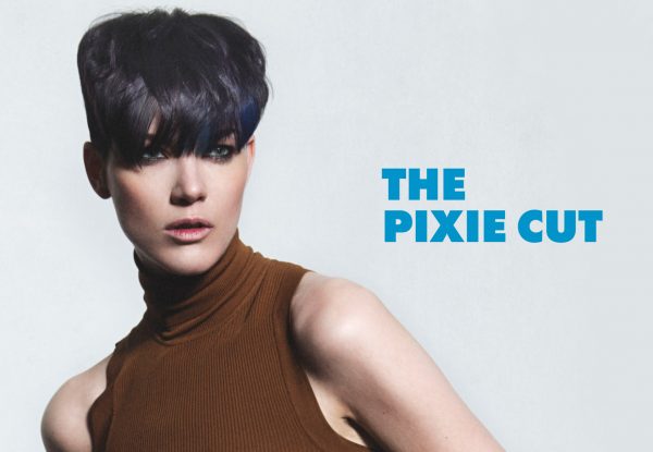 example-of-pixie-cut-from-course